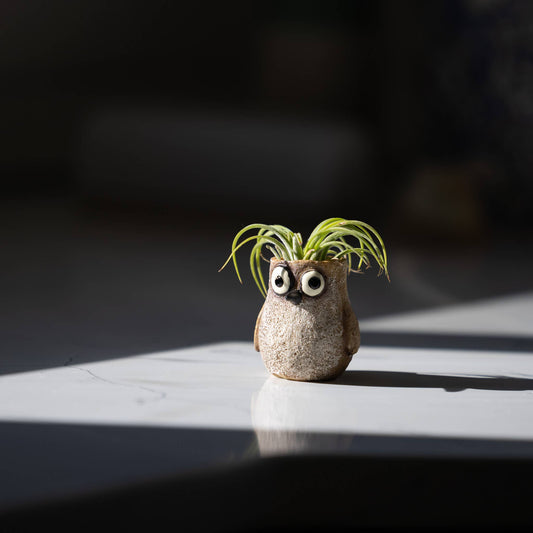 Baby Sandpiper Bird, Speck, Mini Blobhouse Planter