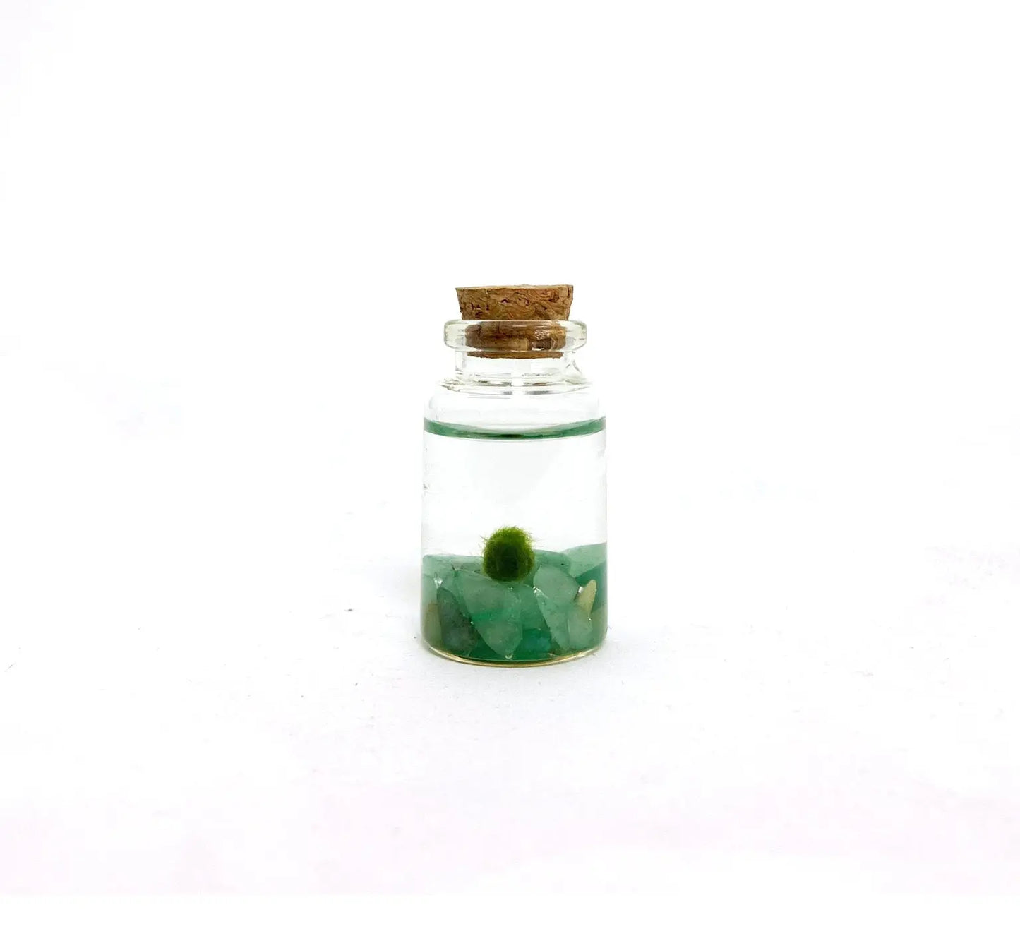 Marimo Moss Pet