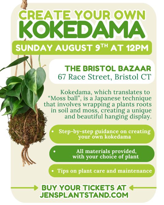 Create-your-own Kokedama Workshop at the BRISTOL BAZAAR