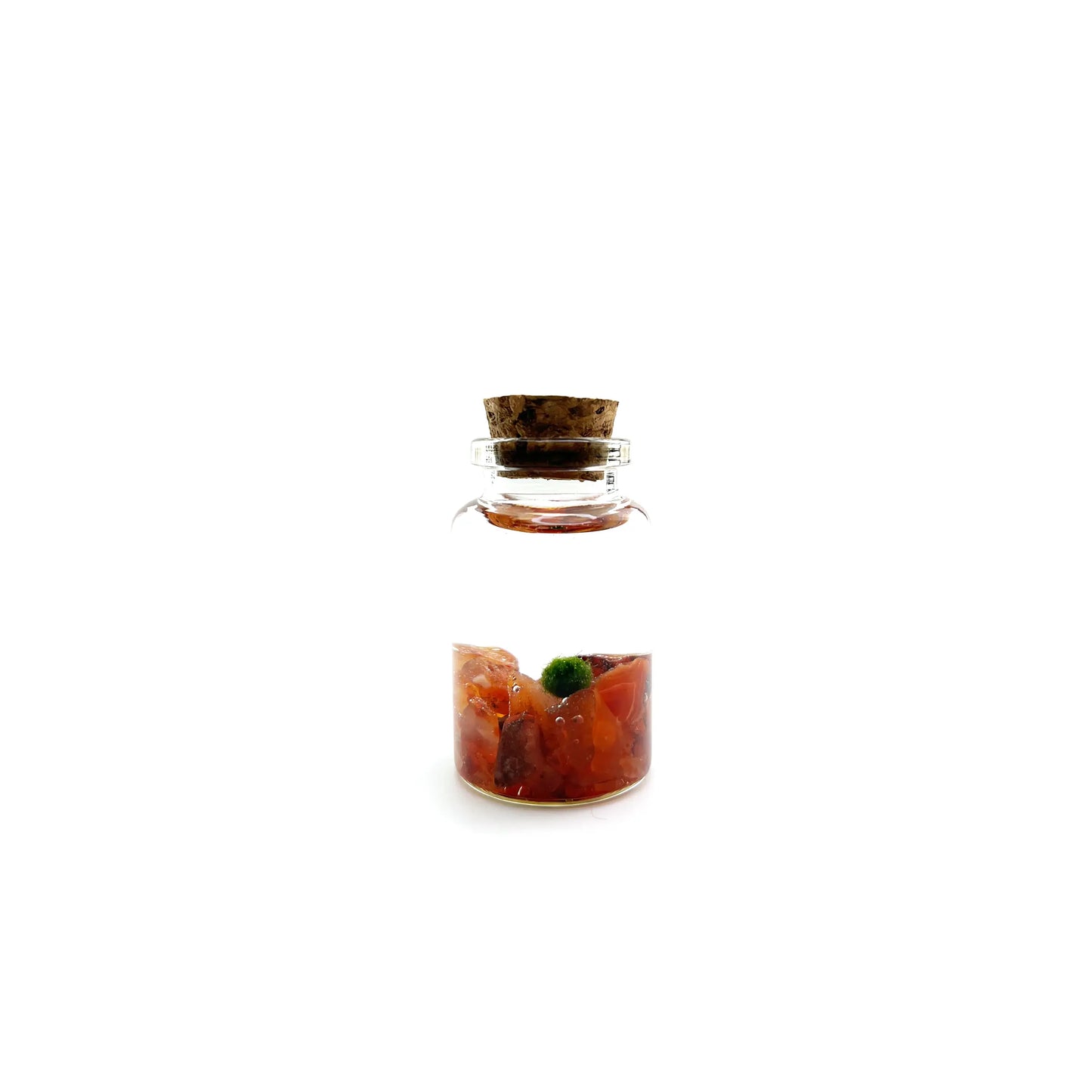 Marimo Moss Pet