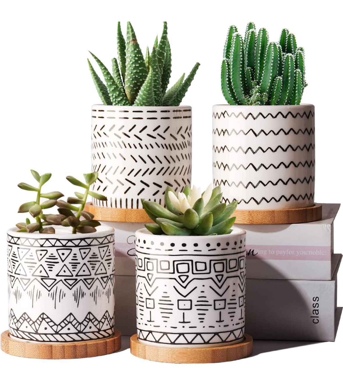 boho potted plants Ceramic Boho design pot – Jennifer's Plant Stand