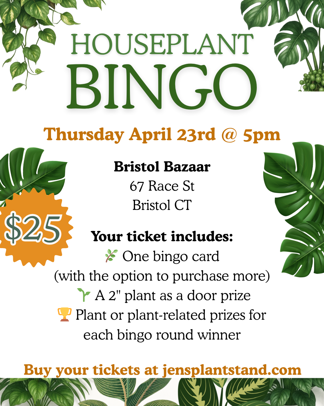 Houseplant BINGO