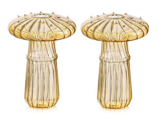 Glass Mushroom propagation jar