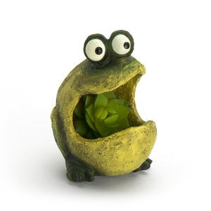 Baby Gaper Frog