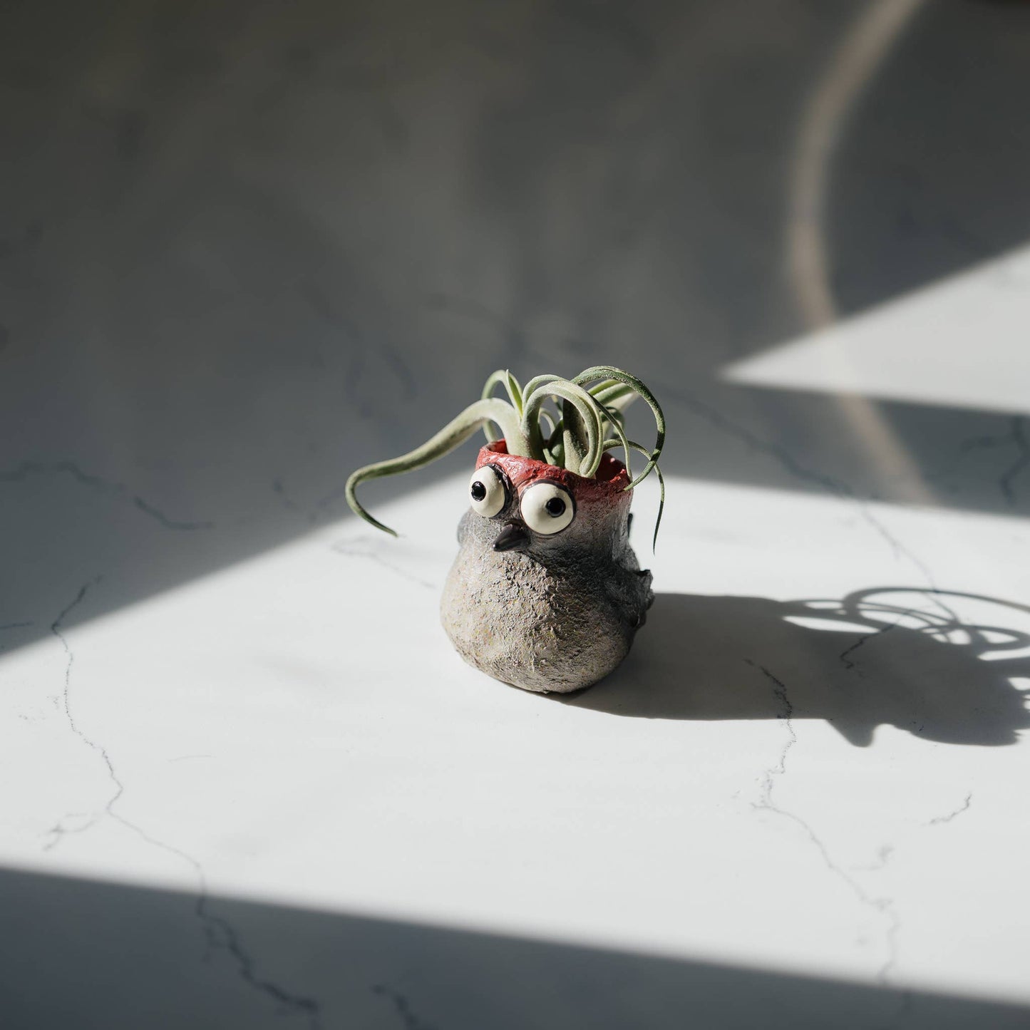 Baby Woodpecker, Winnie, Bird Mini Blobhouse Planter