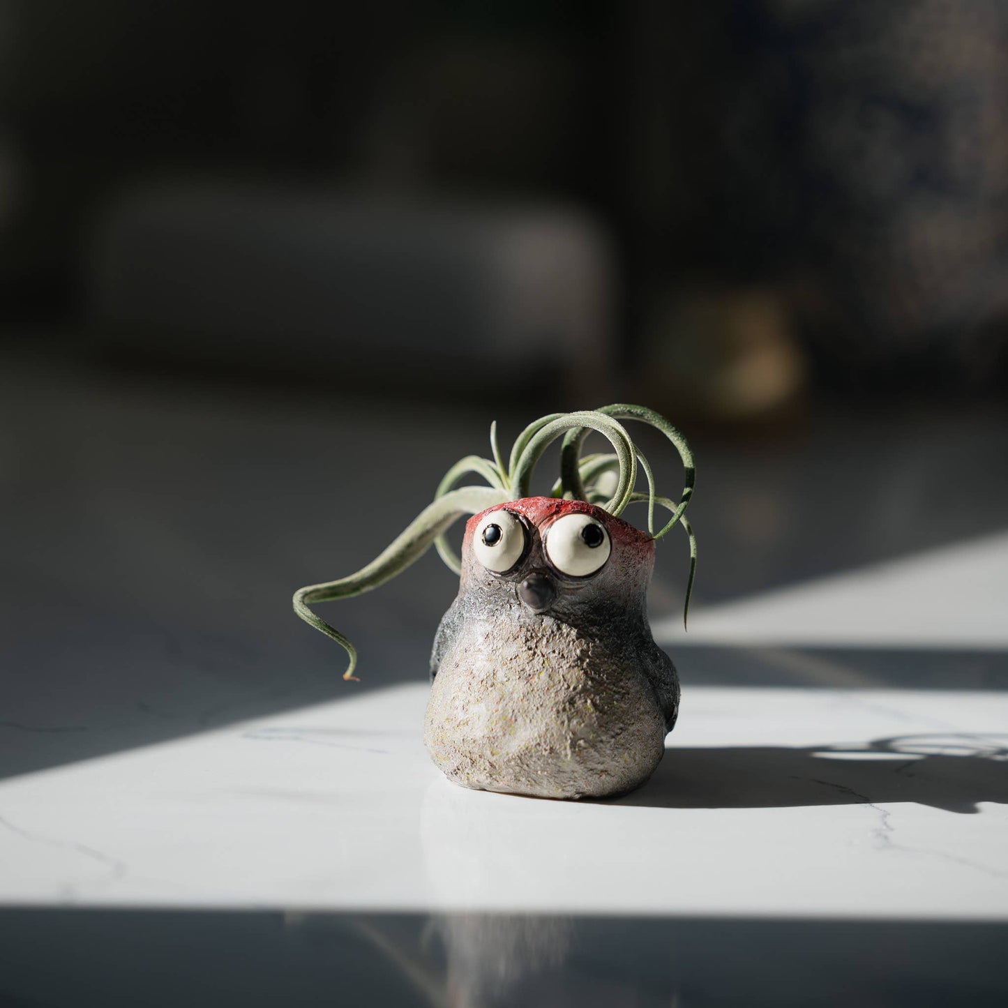 Baby Woodpecker, Winnie, Bird Mini Blobhouse Planter