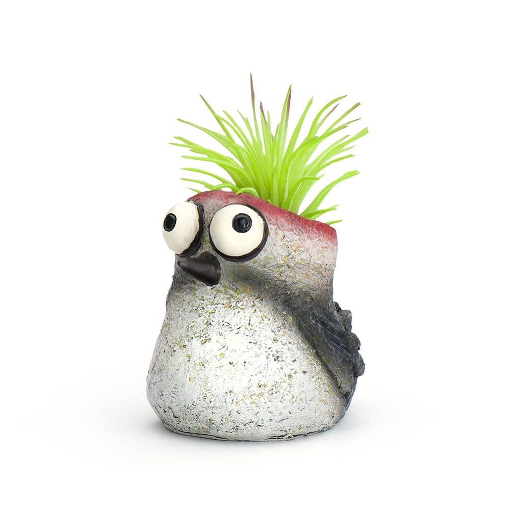 Baby Woodpecker, Winnie, Bird Mini Blobhouse Planter