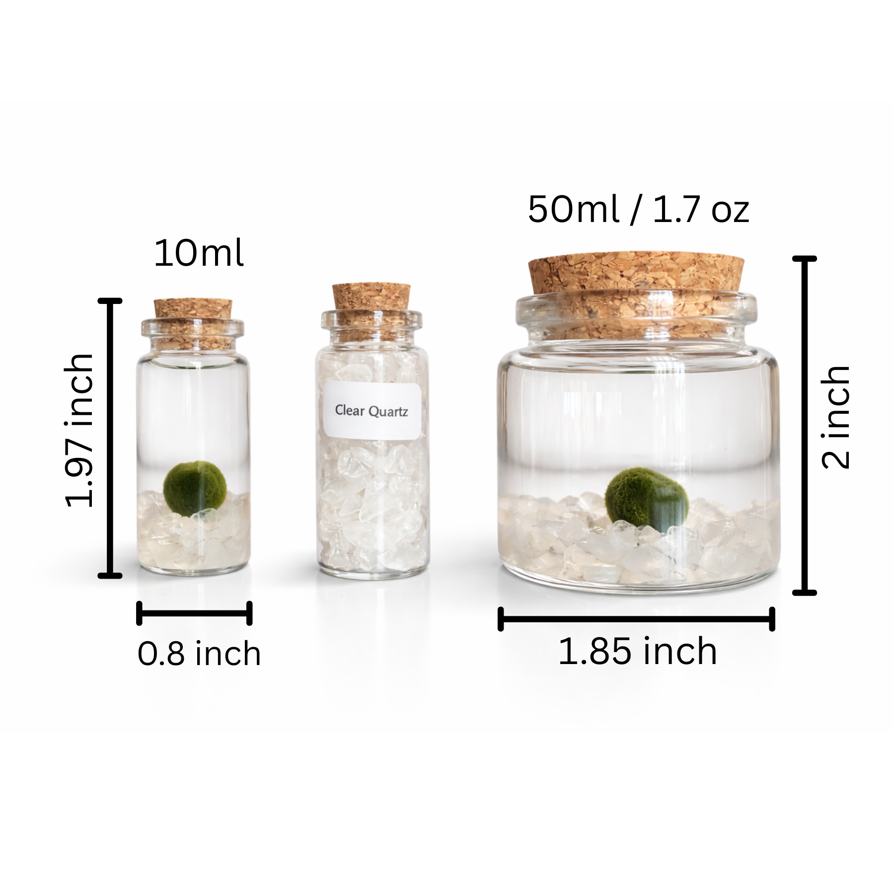 Marimo Moss Pet – Jennifer's Plant Stand