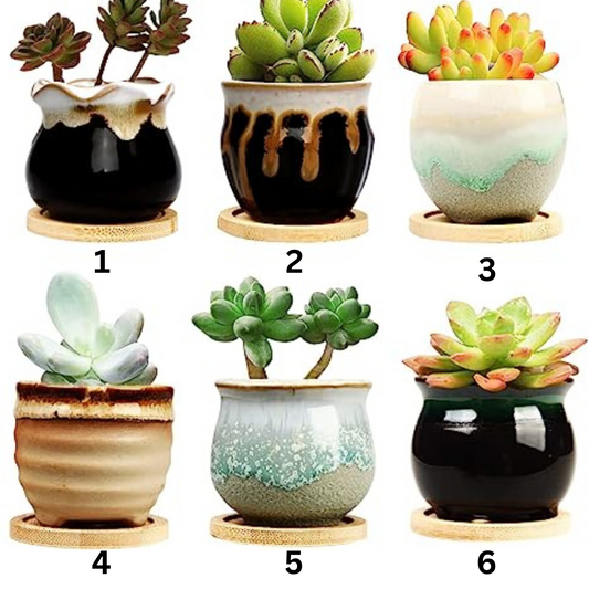Mini Ceramic Pots