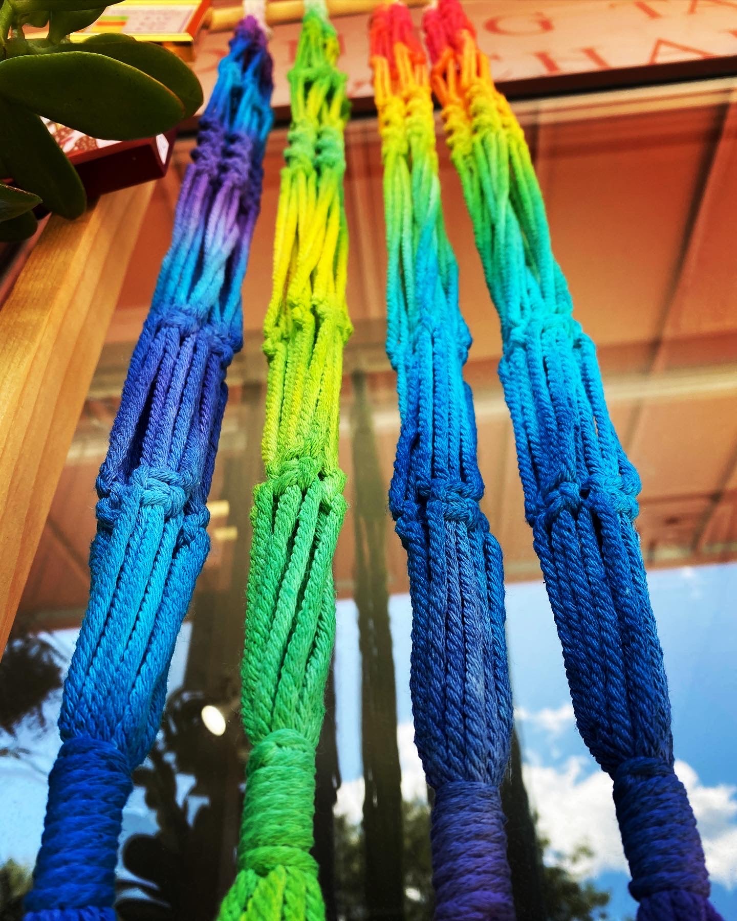multicolor macrame plant hanger Dyed Macrame Plant Hangers – Jennifer's Plant Stand