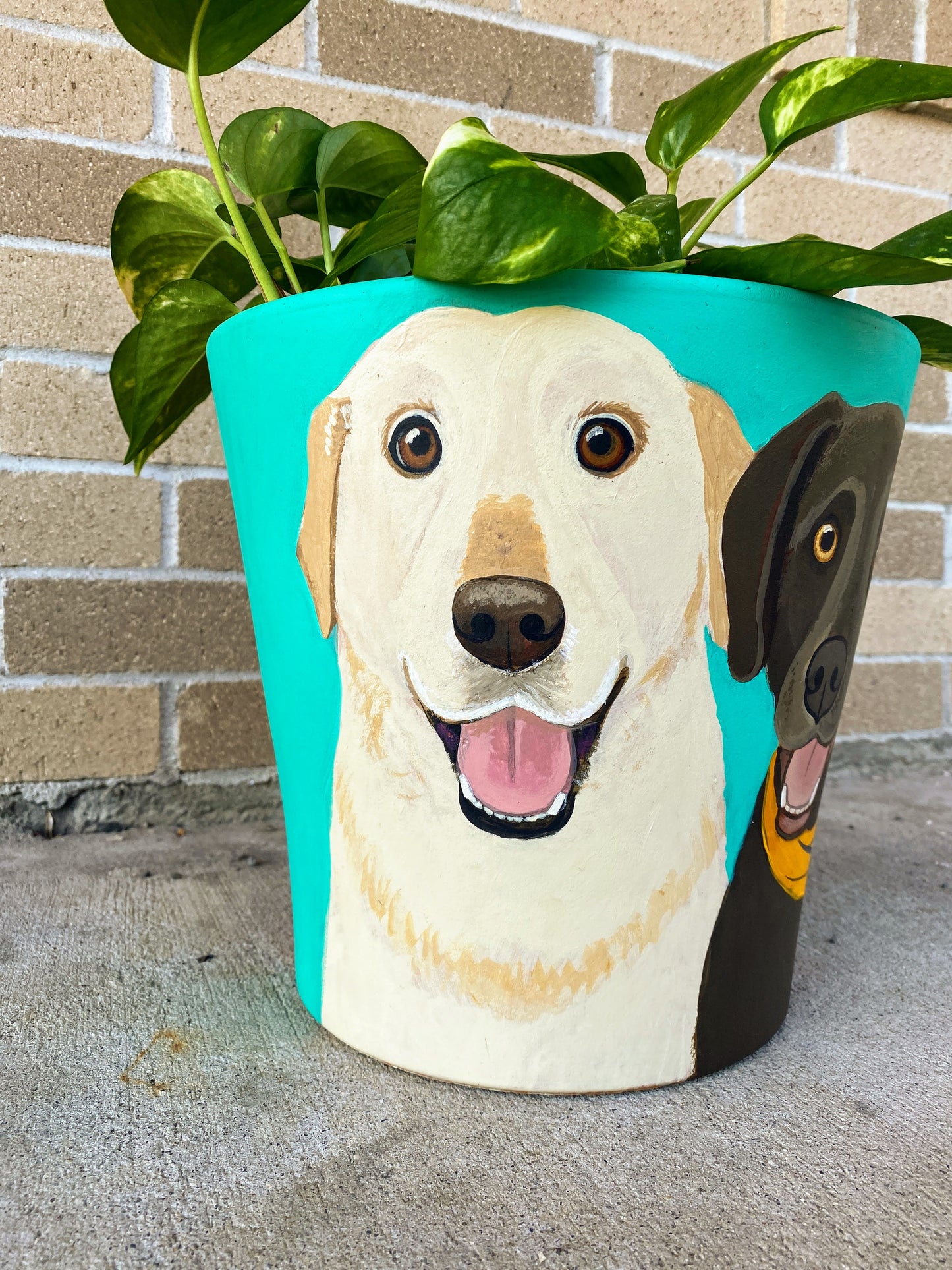 Custom Painted Pot