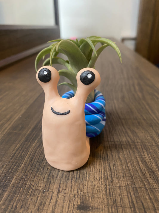 Handmade Clay Snail with Air Plant