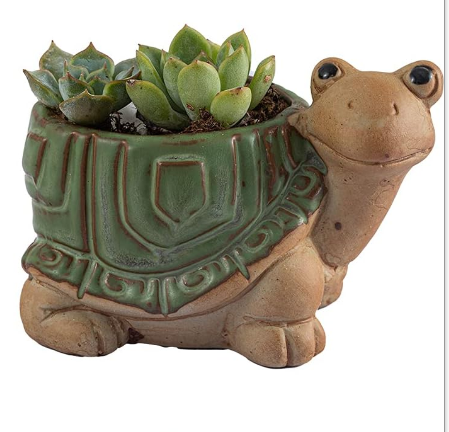 Green Turtle Planter