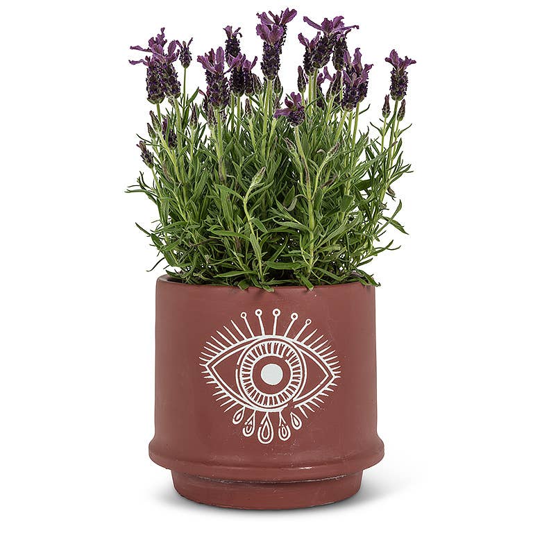 Lg Eye Planter-7"D-1049