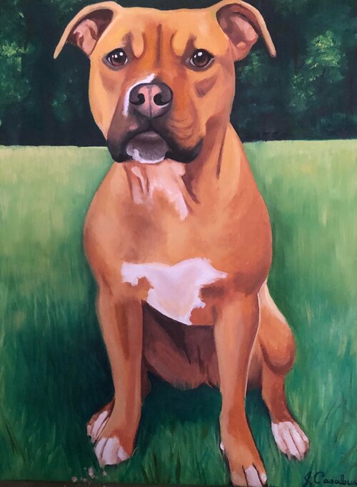 Custom Pet Portrait