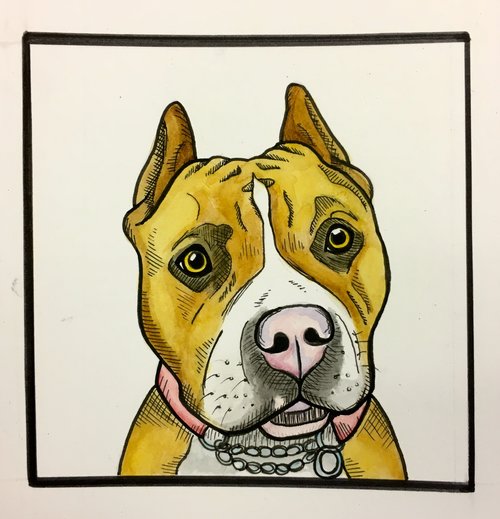 Custom Pet Portrait