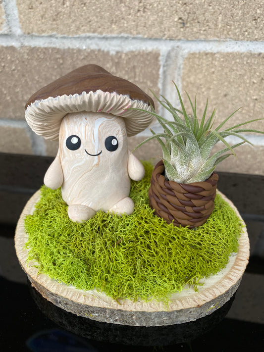 Clay Mushroom with air plant