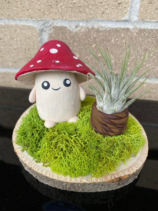 Clay Mushroom with air plant