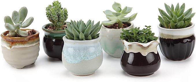 succulent pot amazon Mini Ceramic Pots – Jennifer's Plant Stand