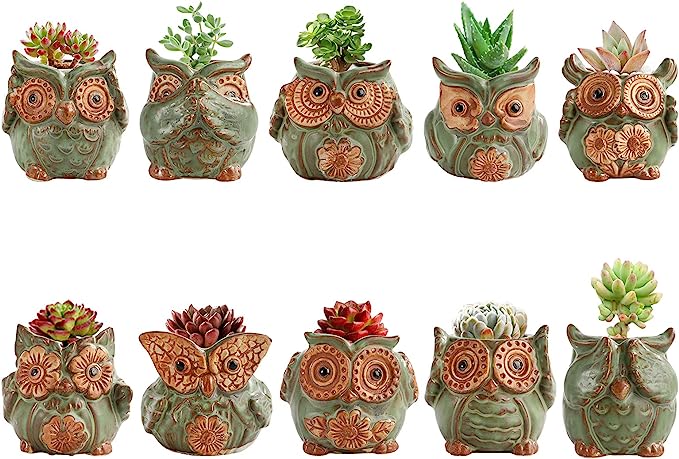 Owl Pots