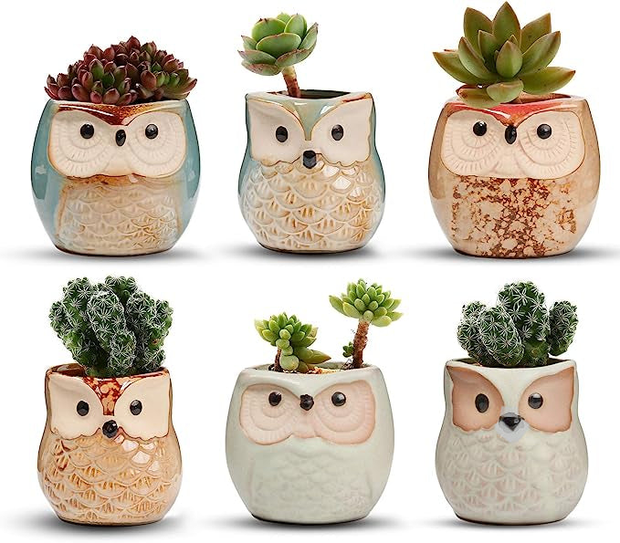 owl pots for plants Owl Pots – Jennifer's Plant Stand