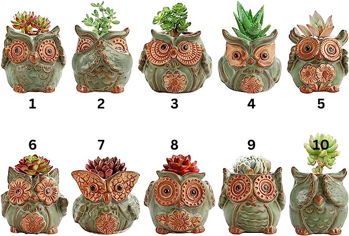 Owl Pots