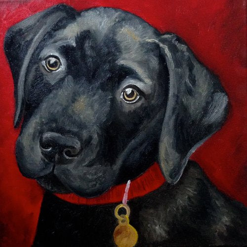 Custom Pet Portrait