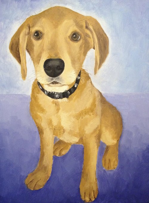 Custom Pet Portrait