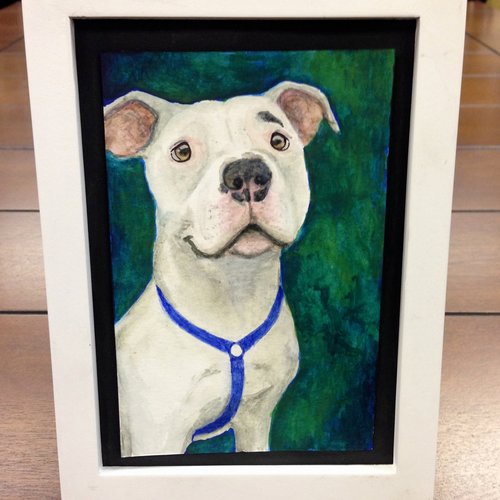 Custom Pet Portrait