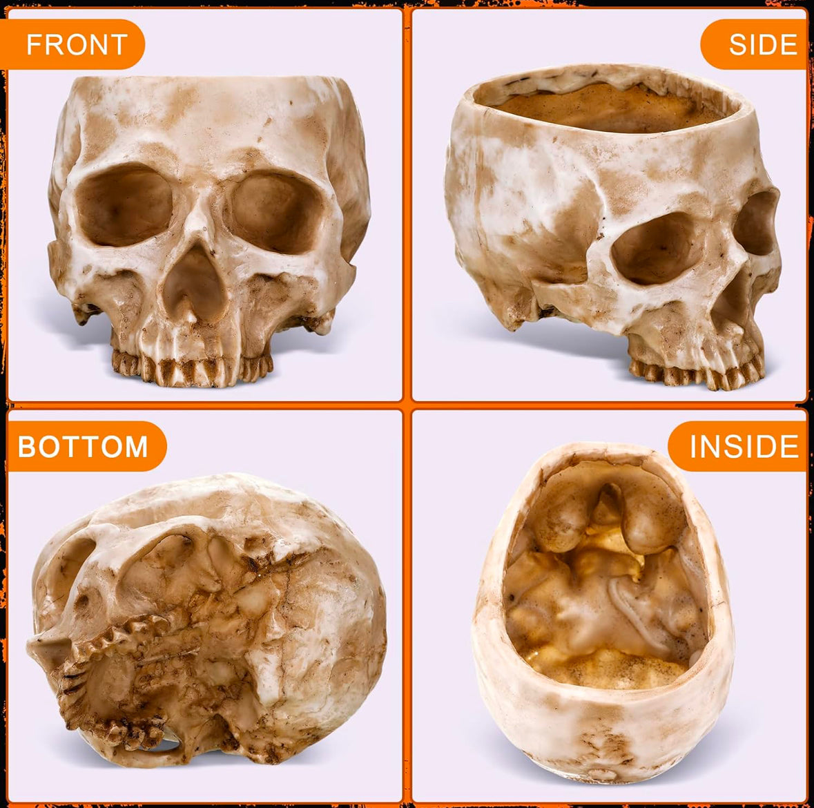 Skull planter