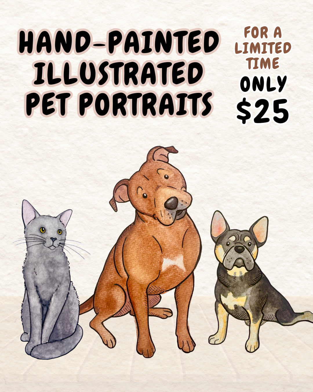 Illustrated pet portrait