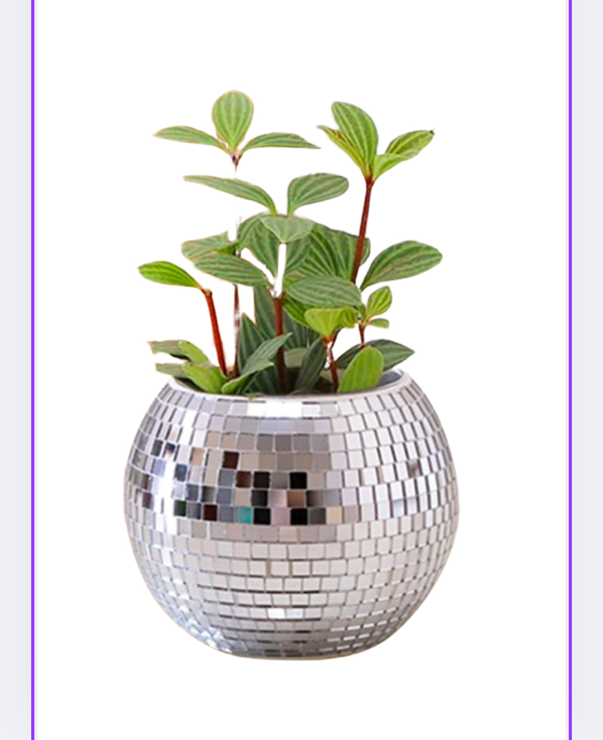 Disco ball case/planter