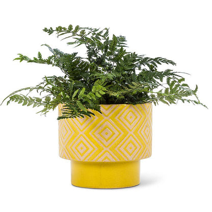 Yellow T-Shape Planter-5"H