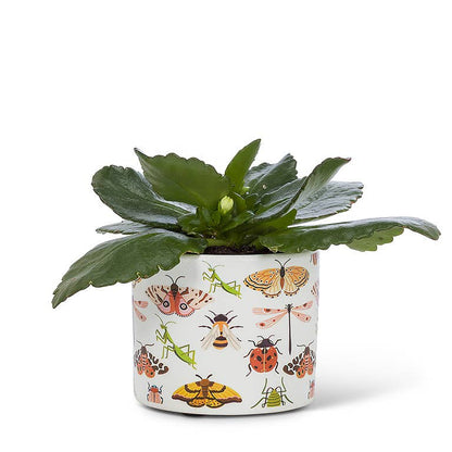 XS Allover Bugs Planter-3"D