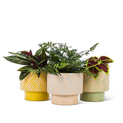 Yellow T-Shape Planter-5"H