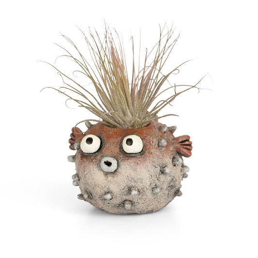 Sushi Blow Fish Blobhouse Planter