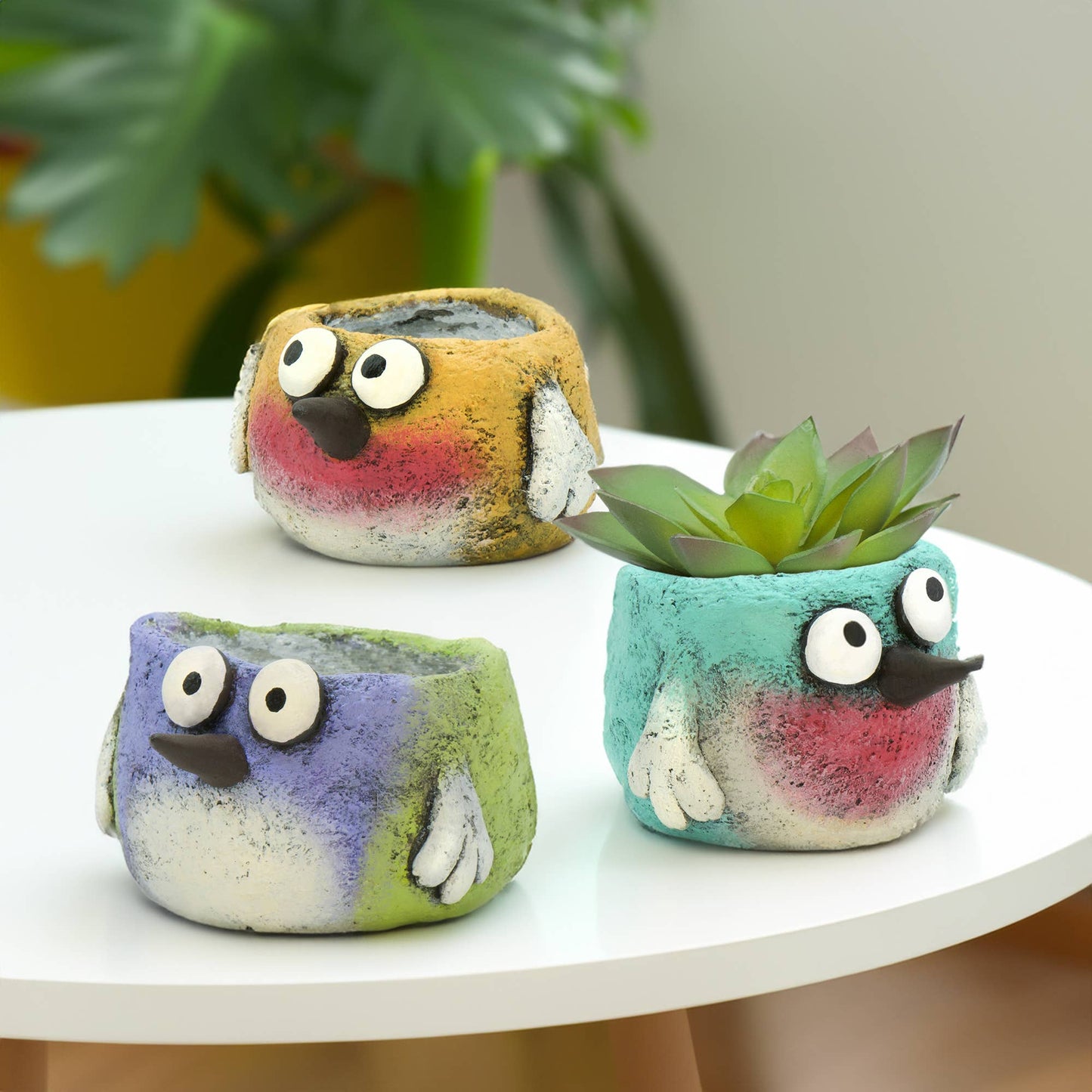 3pc Set - Beautiful Birds Blobhouse Planter