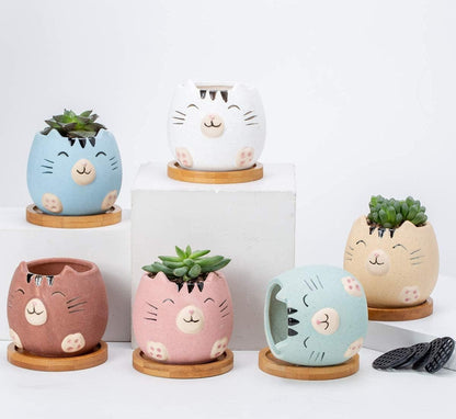 Cat planter