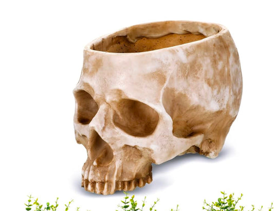 Skull planter