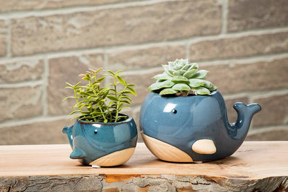 Sm Blue Whale Planter-2" H