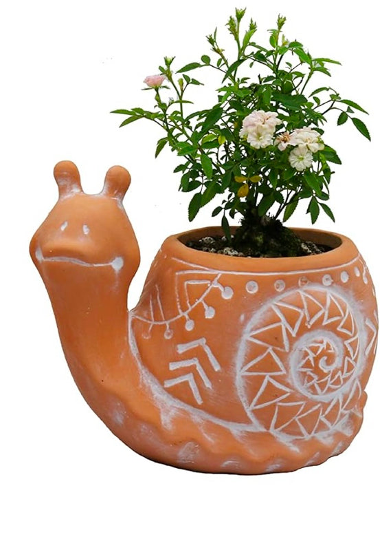 Terracotta frog/snail