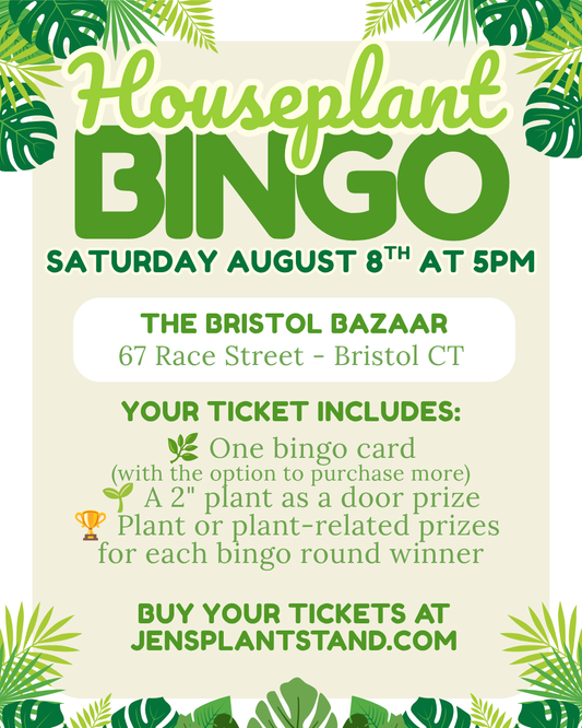 Houseplant BINGO at The Bristol Bazaar