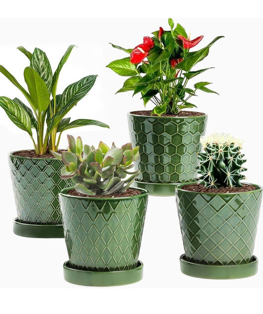 Textured ceramic pot w/ tray