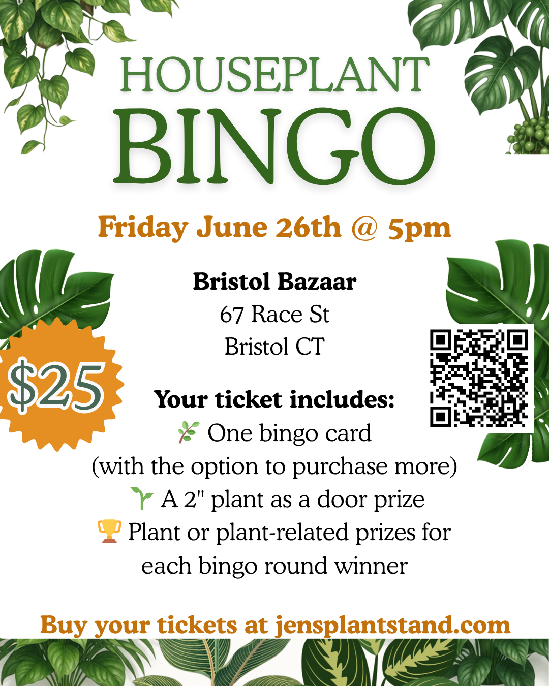 Houseplant BINGO