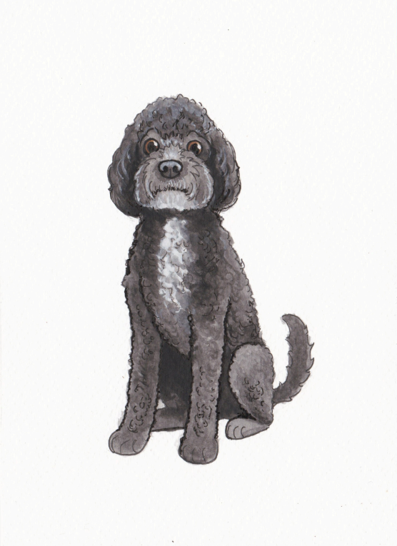 Custom Pet Portrait - Christmas Special