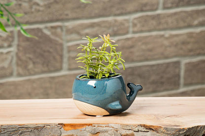 Sm Blue Whale Planter-2" H