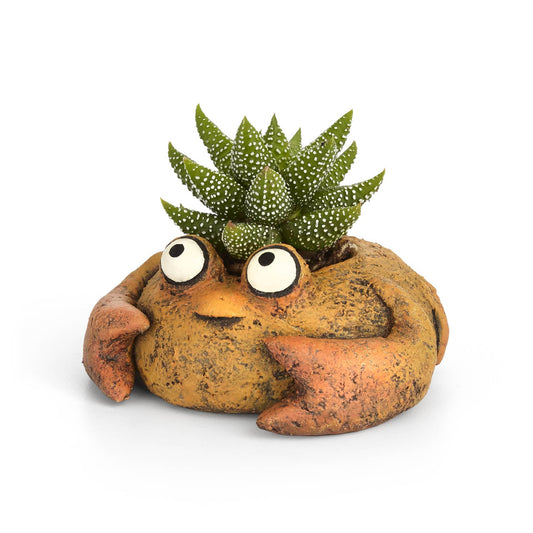 Clawdia Crab Blobhouse Planter