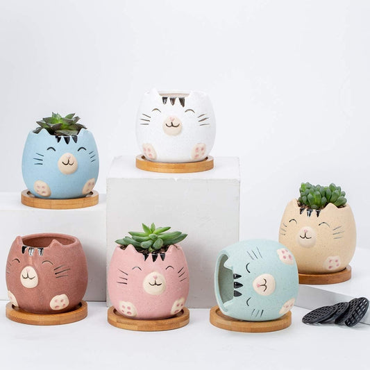 Cat planter