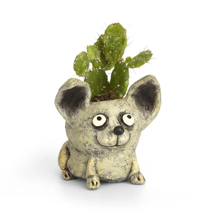 Chico the Dog Planter