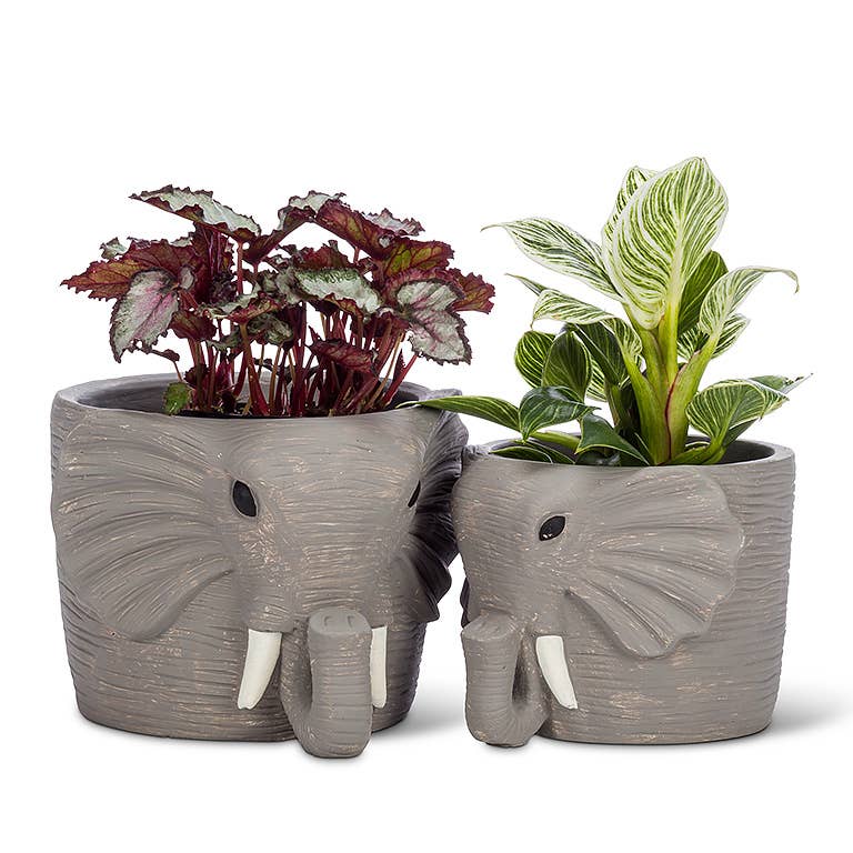 Sm Gry Elephant Planter-4.5" H